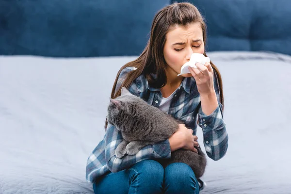 Girl with allergy holding facial tissue and british shorthair cat at home — Stock Photo