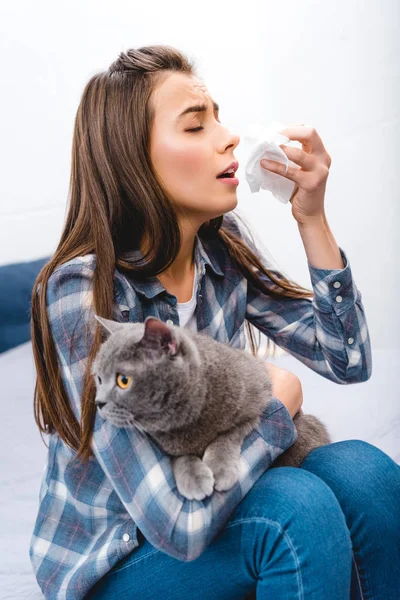 Mujer joven con alergia celebración de tejido facial y británico taquigrafía gato - foto de stock