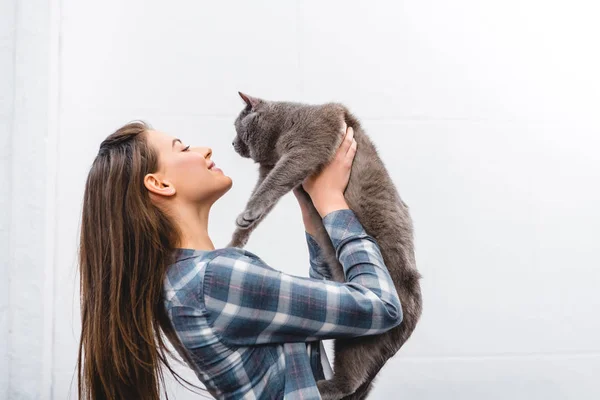 Красивая улыбающаяся молодая женщина с очаровательным британским короткометражным котом дома — стоковое фото