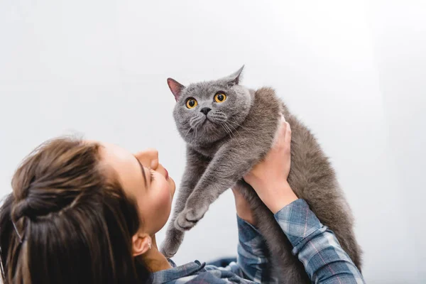 Beautiful young woman holding adorable british shorthair cat — Stock Photo