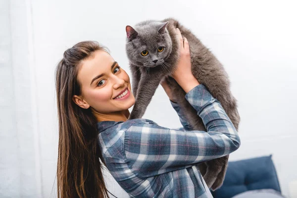 Счастливая молодая женщина держит в руках британского короткошерстного кота и улыбается перед камерой — стоковое фото