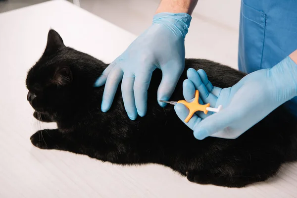 Visão cortada do veterinário fazendo procedimento de microchipping para gato preto — Fotografia de Stock