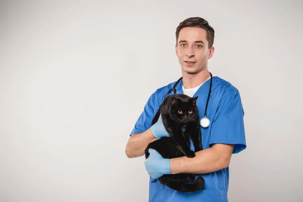 Beau vétérinaire debout avec chat noir sur fond gris — Photo de stock