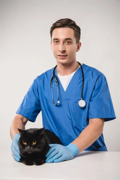 Guapo veterinario de pie en la capa azul cerca de gato negro sobre fondo gris - foto de stock