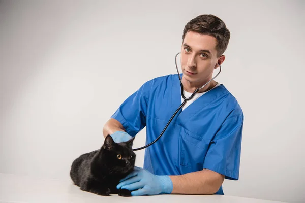 Schöner Tierarzt untersucht schwarze Katze auf grauem Hintergrund — Stockfoto