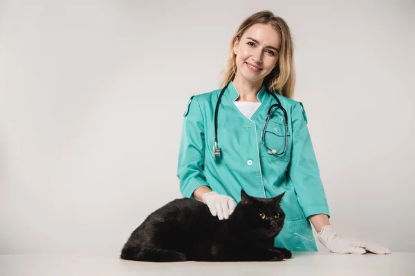 Sorridente veterinário fêmea de pé perto de gato preto no fundo cinza — Fotografia de Stock