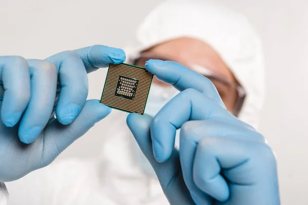 Selective focus of microchip in hands of scientist wearing latex gloves isolated on grey — Stock Photo