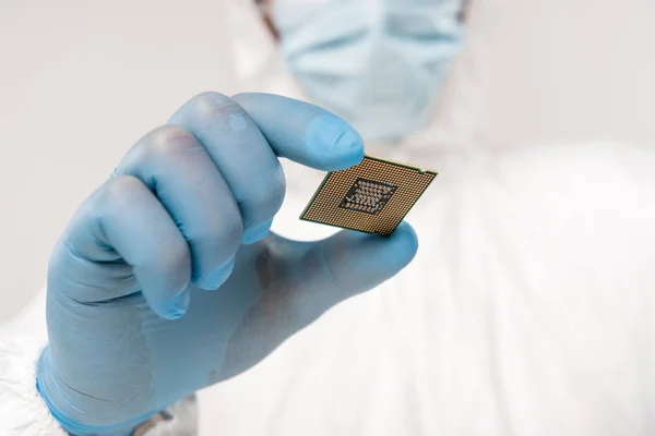 Selektiver Fokus des Mikroprozessors in der Hand des Wissenschaftlers, der Latex-Handschuh isoliert auf grau trägt — Stockfoto