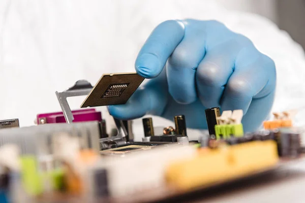 Vista recortada del microchip en la mano del científico masculino cerca de la placa base - foto de stock