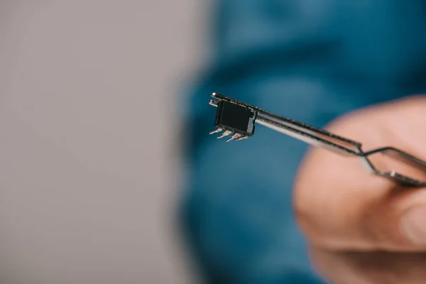 Selective focus of tweezers with microchip in hand of scientist — Stock Photo