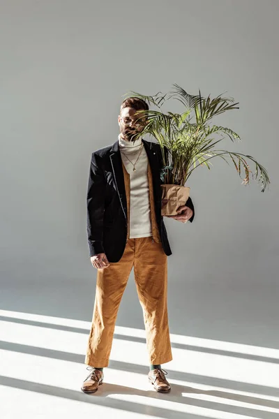 Handsome bearded man in glasses holding green plant in pot and looking at camera on grey background — Stock Photo