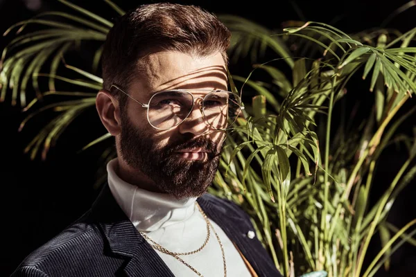 Красивый бородатый мужчина в очках тени на лице и растения изолированы на черном — стоковое фото