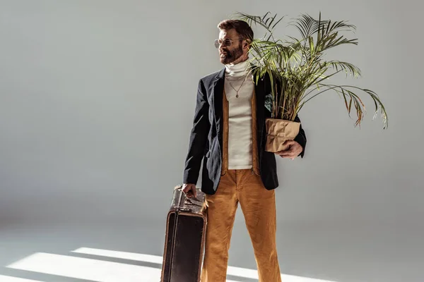 Красивый бородатый мужчина в очках, держащий зеленое растение в горшке и винтажный чемодан на сером фоне — стоковое фото