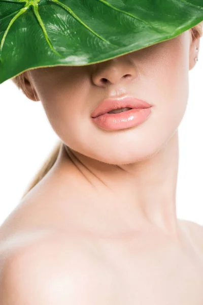 Bela menina nua com folha tropical verde no rosto isolado no branco — Fotografia de Stock