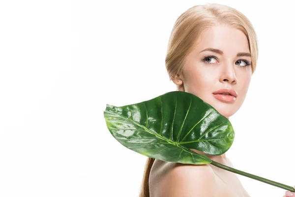 Привлекательная обнаженная девушка, держащая свежий тропический лист и смотрящая в сторону изолированной на белом — стоковое фото