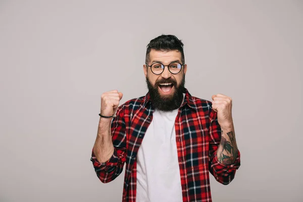 Excited bearded man in checkered shirt, isolated on grey — Stock Photo