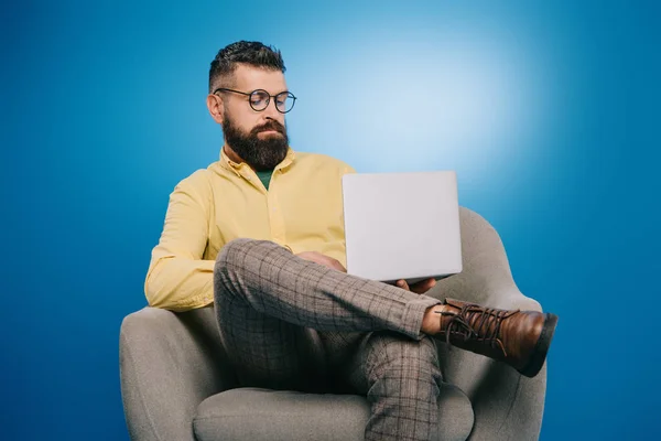 Uomo d'affari barbuto seduto in poltrona con computer portatile, isolato su blu — Foto stock