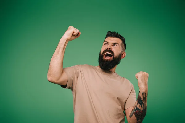 Hombre barbudo excitado gestos y gritos aislados en verde - foto de stock