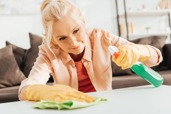 Concentrated senior woman in rubber gloves cleaning table with spray and rag — Stock Photo