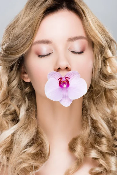 Молодая женщина с закрытыми глазами, держащая фиолетовую орхидею во рту, изолированную на сером — стоковое фото