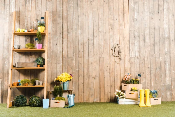 Rack with pots and plants near wooden fence — Stock Photo