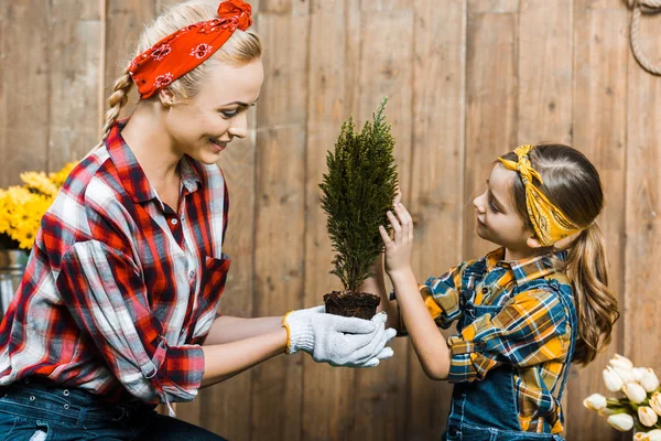 Attraktive Frau hält grüne Pflanze in der Nähe der niedlichen Tochter — Stockfoto