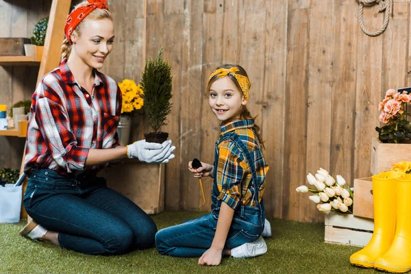 Attraktive Frau hält grüne Pflanze und sitzt mit fröhlicher Tochter im Gras — Stockfoto
