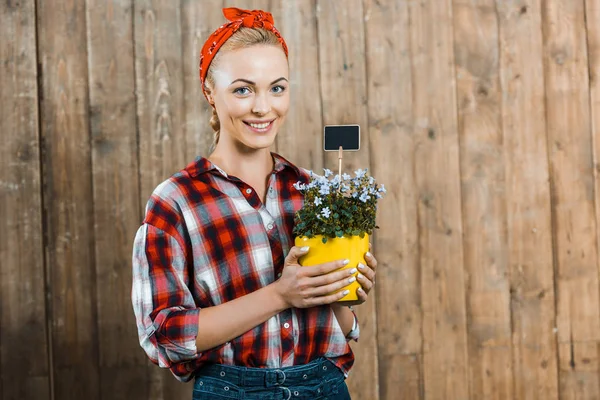 Bella donna che tiene fiori in vaso e sorridente vicino alla recinzione di legno — Foto stock