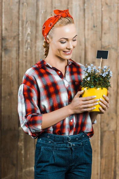 Mujer alegre sonriendo y sosteniendo la olla con flores en las manos - foto de stock