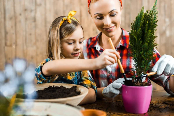 Beautiful mother and cute daughter holding small rakes near ground with plant in pot — Stock Photo