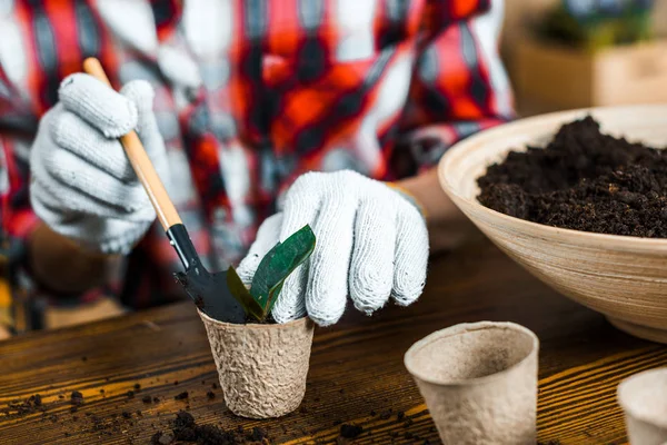 Vue recadrée d'une femme tenant une pelle près d'une tasse en papier vide avec du sol — Photo de stock