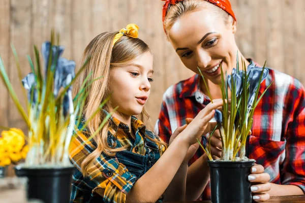 Glückliches Kind berührt Blumen im Topf nahe der Mutter — Stockfoto
