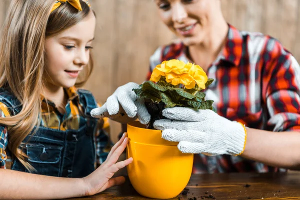 Selective focus of cheerful kid looking at pot near mother transplanting flowers — Stock Photo