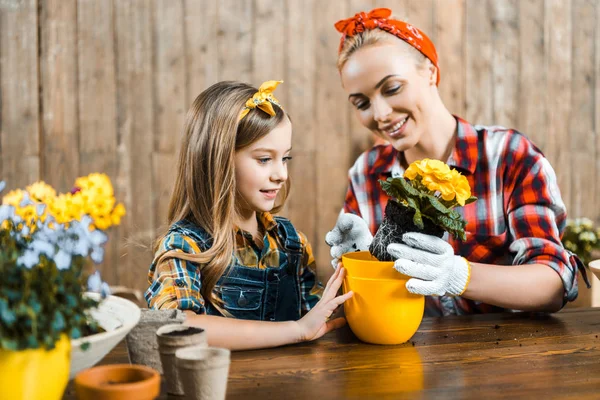 Cheerful child looking at pot near mother transplanting flowers with ground — Stock Photo