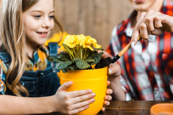 Enfoque selectivo de niño sosteniendo marihuana cerca de madre poniendo tierra con pala - foto de stock