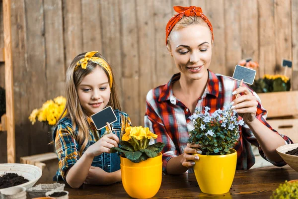 Cute kid and mother putting small empty boards into pots with flowers — Stock Photo