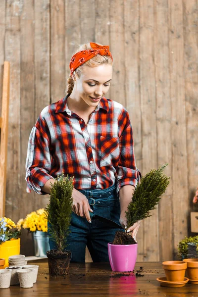 Fürsorgliche Frau hält Schaufel, während sie Pflanze in Topf pflanzt — Stockfoto