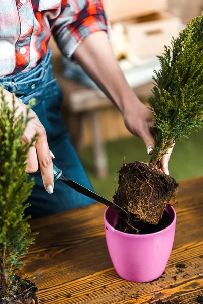 Cropped view of woman holding shovel while transplanting plant into pot — Stock Photo