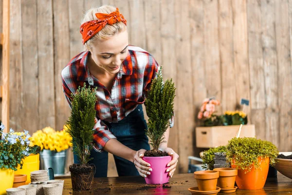 Cheerful woman smiling while holding green plant in pot — Stock Photo