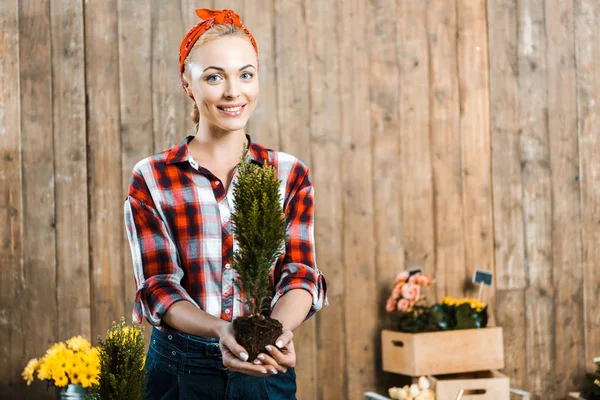 Fröhliche Frau hält grüne Pflanze mit Erde in den Händen — Stockfoto