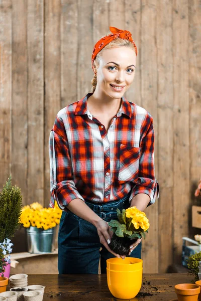 Attractive woman transplanting flowers into pot near fence — Stock Photo