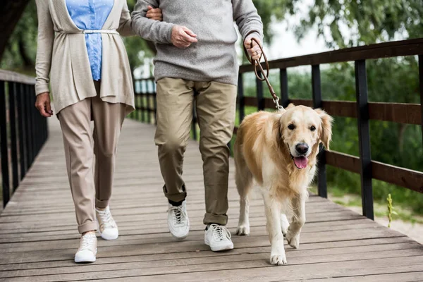 Visão parcial do casal sênior andando com cão golden retriever através da ponte de madeira no parque — Fotografia de Stock