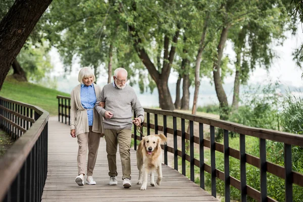 Heureux couple souriant marche avec chien adorable dans le parc — Photo de stock