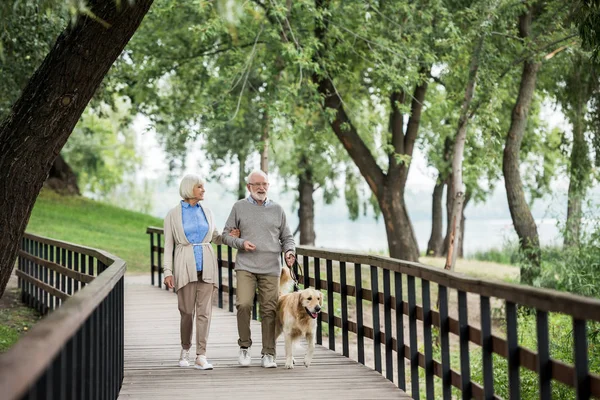 Senior wife and husband walking with friendly dog in park — Stock Photo