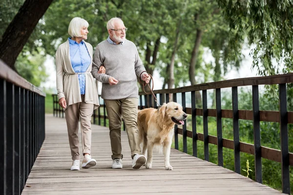 Happy senior wife and husband walking with dog in park — Stock Photo