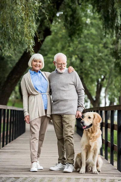 Heureux couple de personnes âgées embrassant tout en marchant avec chien amical dans le parc — Photo de stock