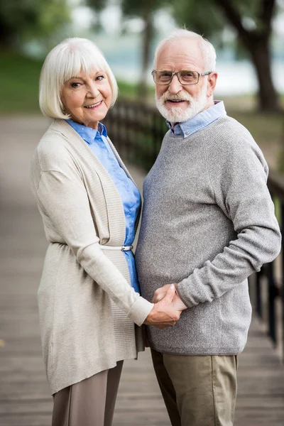 Счастливая пожилая пара на деревянном мосту, держась за руки и глядя в камеру — стоковое фото