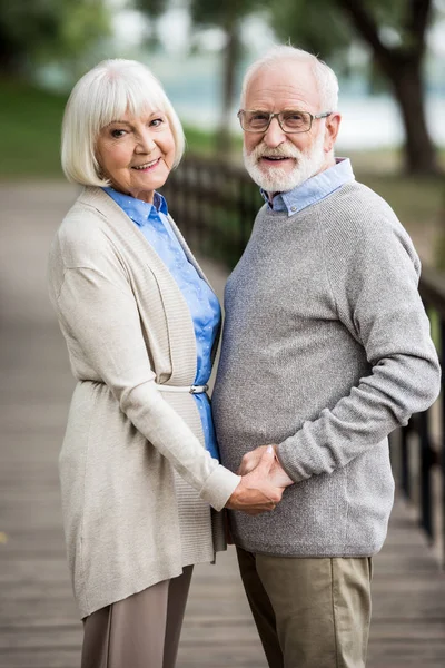 Feliz pareja de ancianos en puente de madera tomados de la mano y mirando a la cámara - foto de stock