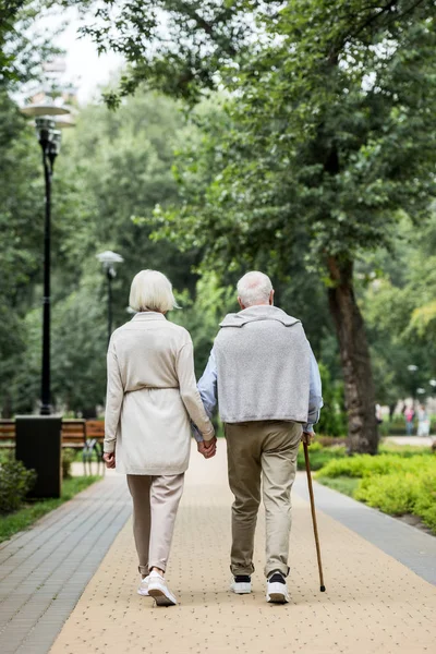 Visão traseira de casal sênior elegante desfrutando de andar no parque — Fotografia de Stock