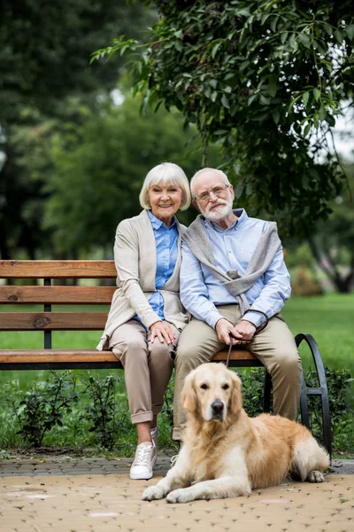 Feliz pareja de ancianos sentado en el banco de madera y lindo perro acostado cerca en la acera pavimentada - foto de stock